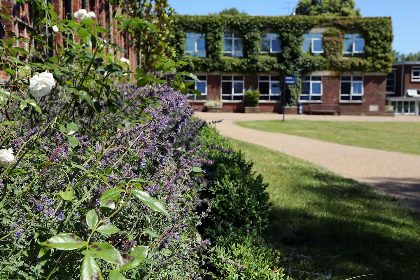Ashford School